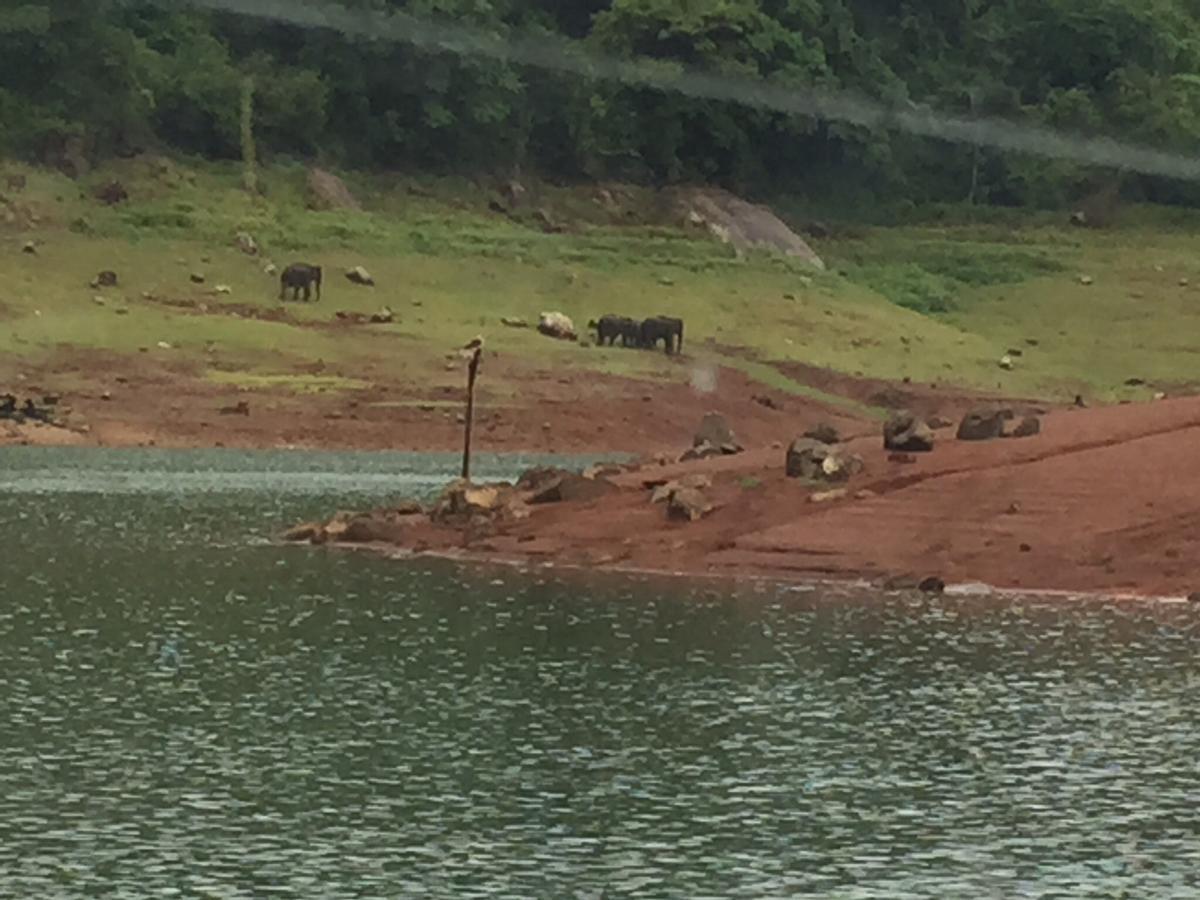 Kandamath Heritage Resort Kolattupuzha Luaran gambar